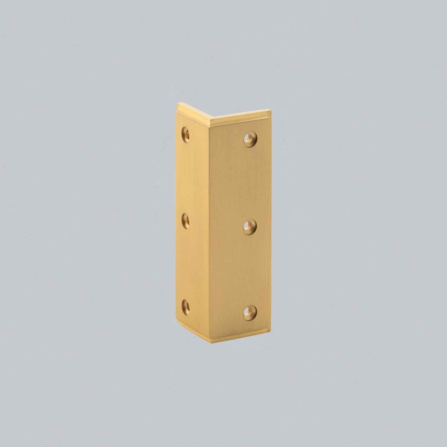 Skirting Protector