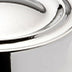 Polished Nickel