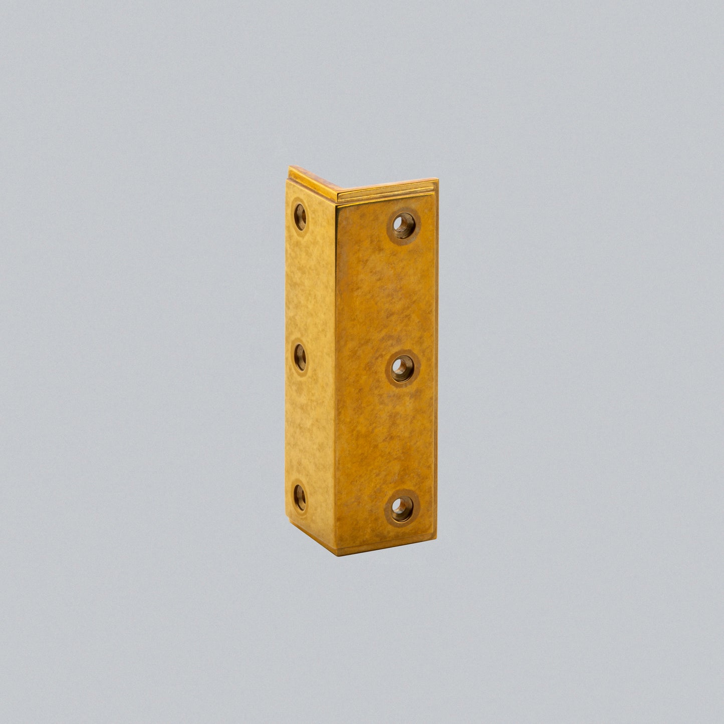 Skirting Protector