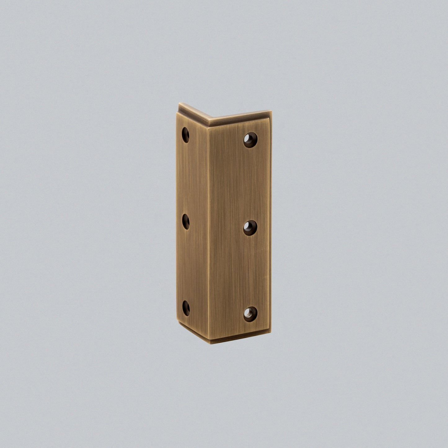 Skirting Protector
