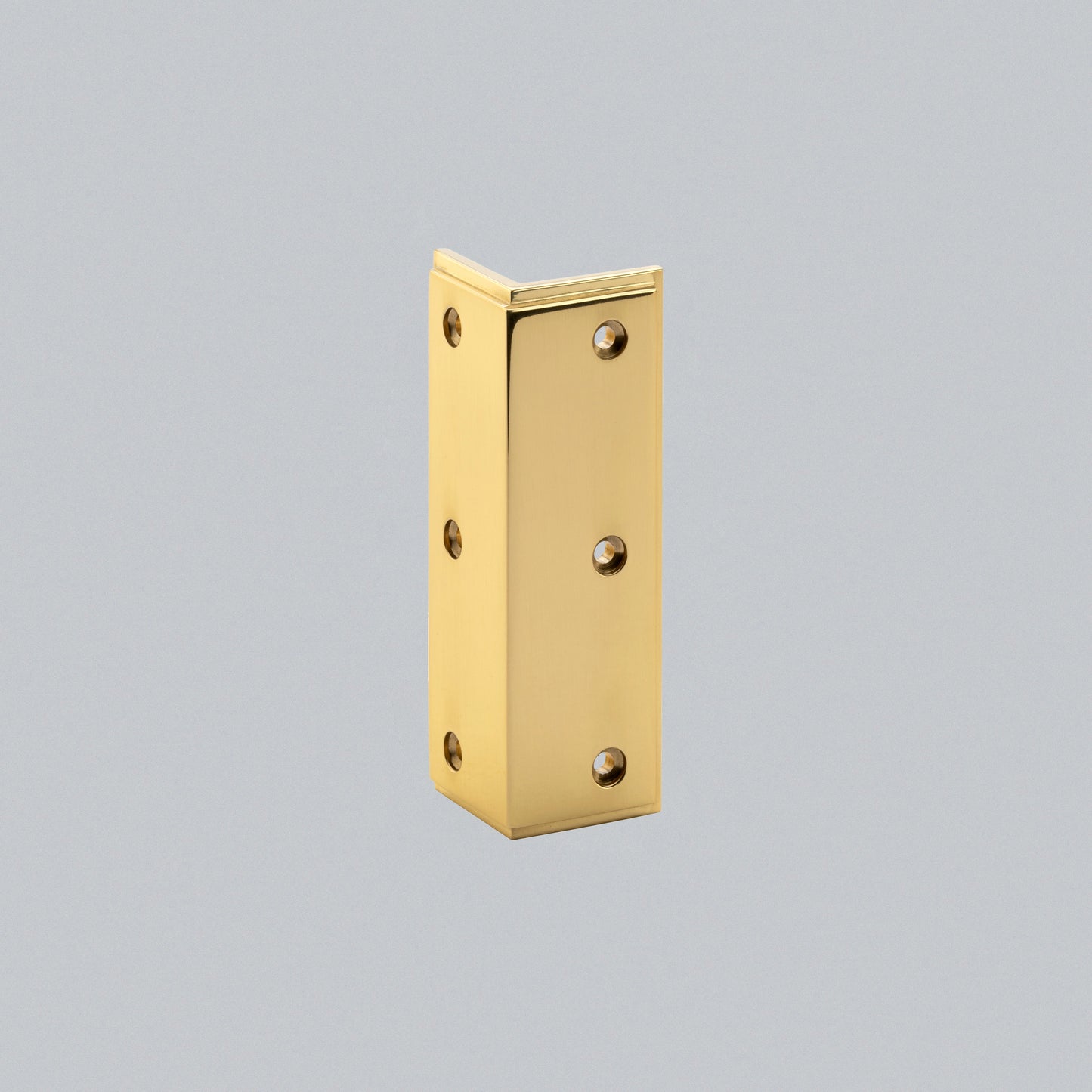 Skirting Protector